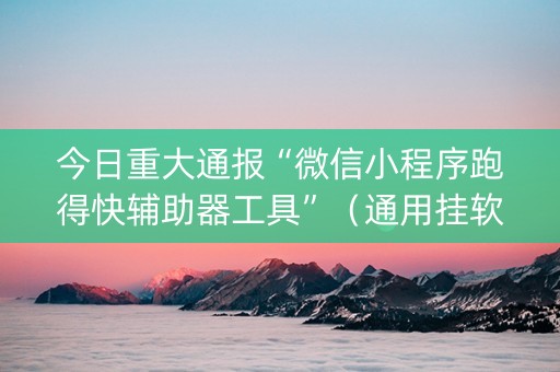 今日重大通报“微信小程序跑得快辅助器工具”（通用挂软件多少钱)