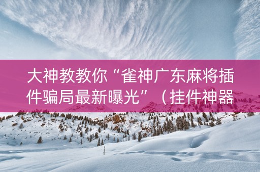 大神教教你“雀神广东麻将插件骗局最新曝光”（挂件神器)