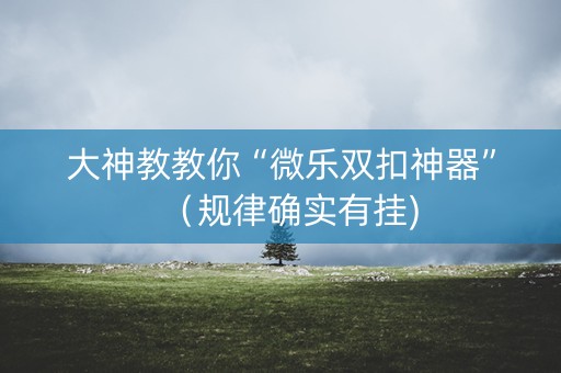大神教教你“微乐双扣神器”（规律确实有挂)