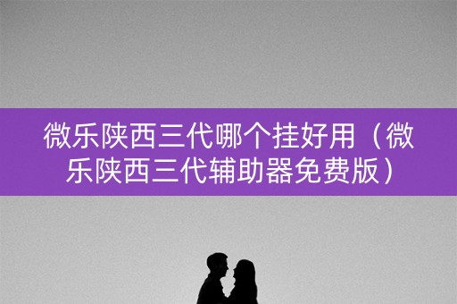 微乐陕西三代哪个挂好用（微乐陕西三代辅助器免费版）