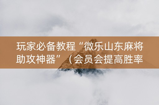 玩家必备教程“微乐山东麻将助攻神器”（会员会提高胜率吗)