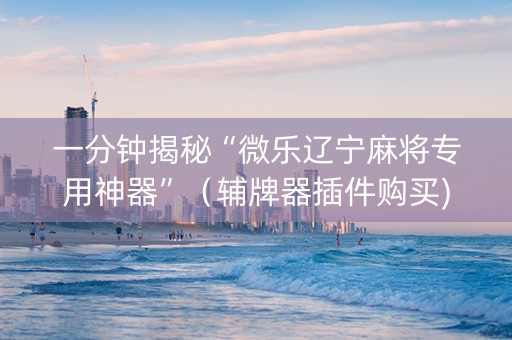 一分钟揭秘“微乐辽宁麻将专用神器”（辅牌器插件购买)