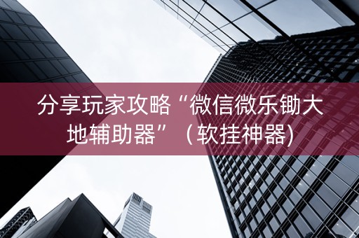分享玩家攻略“微信微乐锄大地辅助器”（软挂神器)