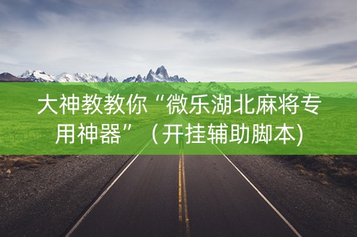 大神教教你“微乐湖北麻将专用神器”（开挂辅助脚本)