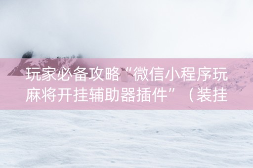 玩家必备攻略“微信小程序玩麻将开挂辅助器插件”（装挂怎么安装)