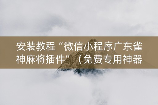 安装教程“微信小程序广东雀神麻将插件”（免费专用神器)