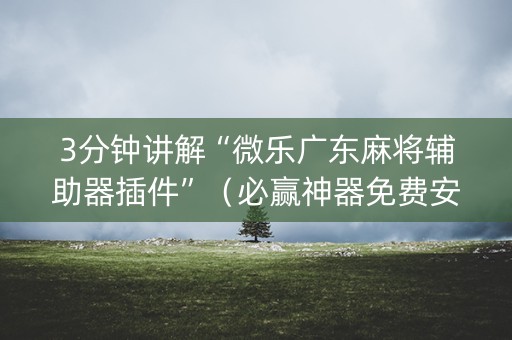 3分钟讲解“微乐广东麻将辅助器插件”（必赢神器免费安装)