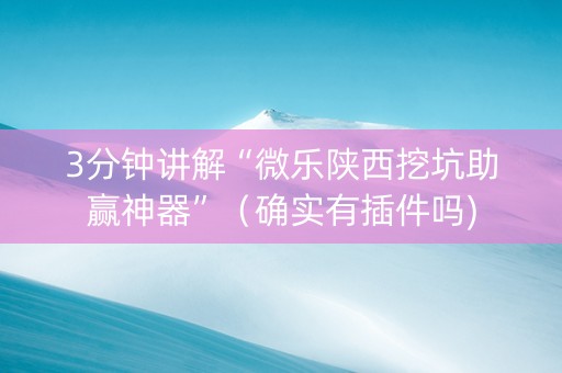 3分钟讲解“微乐陕西挖坑助赢神器”（确实有插件吗)