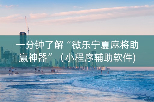 一分钟了解“微乐宁夏麻将助赢神器”（小程序辅助软件)