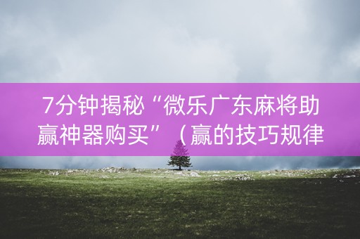 7分钟揭秘“微乐广东麻将助赢神器购买”（赢的技巧规律)