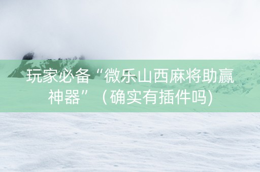 玩家必备“微乐山西麻将助赢神器”（确实有插件吗)