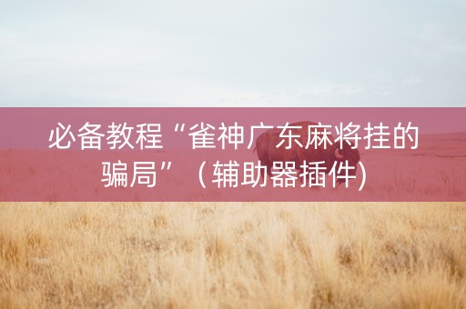 必备教程“雀神广东麻将挂的骗局”（辅助器插件)