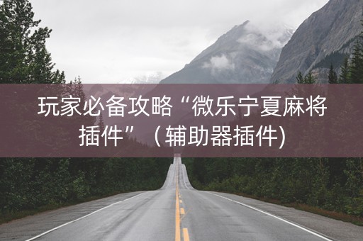 玩家必备攻略“微乐宁夏麻将插件”（辅助器插件)