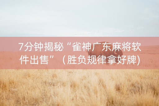 7分钟揭秘“雀神广东麻将软件出售”（胜负规律拿好牌)