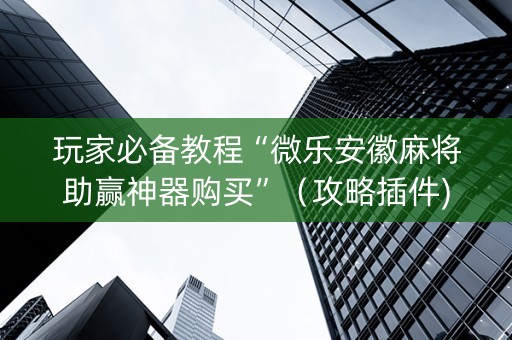 玩家必备教程“微乐安徽麻将助赢神器购买”（攻略插件)