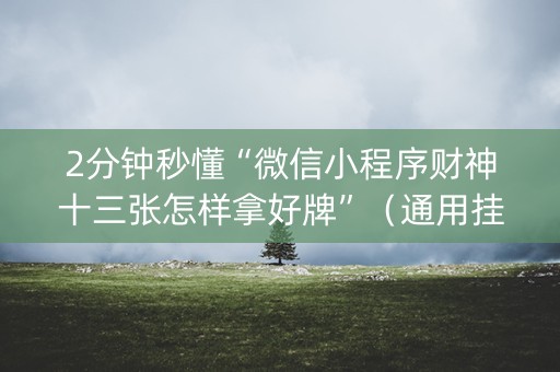 2分钟秒懂“微信小程序财神十三张怎样拿好牌”（通用挂软件多少钱)