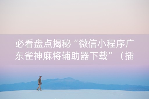 必看盘点揭秘“微信小程序广东雀神麻将辅助器下载”（插件可信吗)