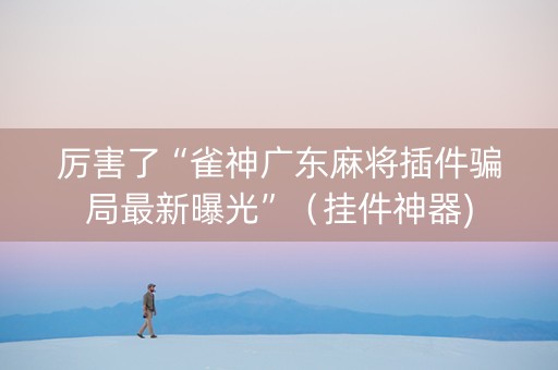 厉害了“雀神广东麻将插件骗局最新曝光”（挂件神器)