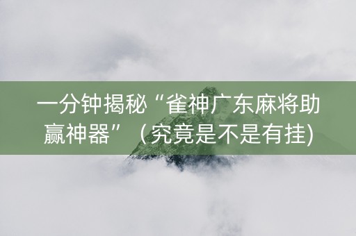 一分钟揭秘“雀神广东麻将助赢神器”（究竟是不是有挂)