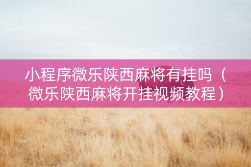 小程序微乐陕西麻将有挂吗（微乐陕西麻将开挂视频教程）