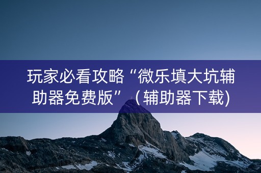 玩家必看攻略“微乐填大坑辅助器免费版”（辅助器下载)