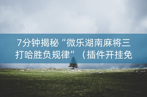 7分钟揭秘“微乐湖南麻将三打哈胜负规律”（插件开挂免费AI)