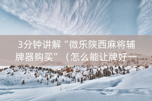 3分钟讲解“微乐陕西麻将辅牌器购买”（怎么能让牌好一点)