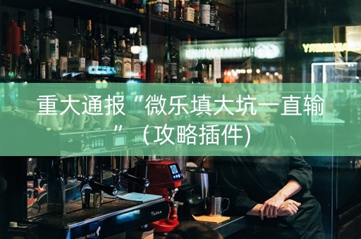 重大通报“微乐填大坑一直输”（攻略插件)