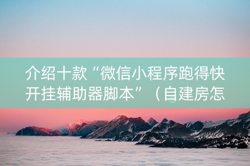 介绍十款“微信小程序跑得快开挂辅助器脚本”（自建房怎么拿好牌)