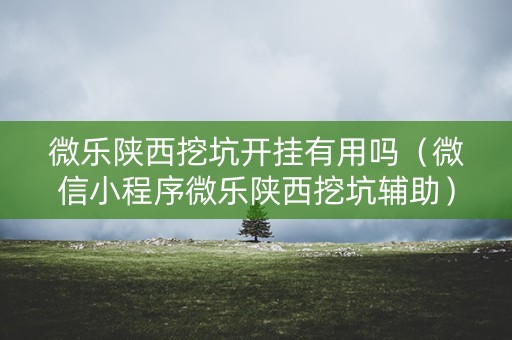 微乐陕西挖坑开挂有用吗（微信小程序微乐陕西挖坑辅助）