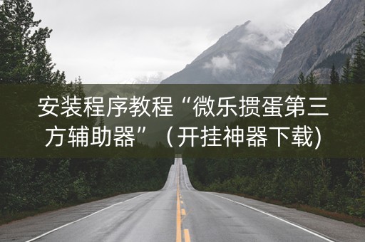 安装程序教程“微乐掼蛋第三方辅助器”（开挂神器下载)