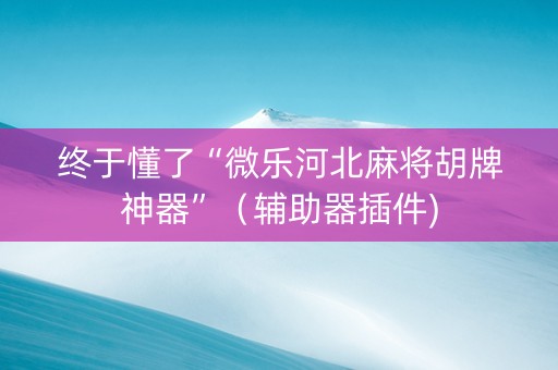 终于懂了“微乐河北麻将胡牌神器”（辅助器插件)