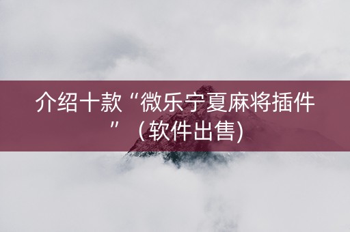 介绍十款“微乐宁夏麻将插件”（软件出售)