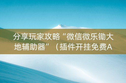 分享玩家攻略“微信微乐锄大地辅助器”（插件开挂免费AI)