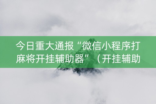 今日重大通报“微信小程序打麻将开挂辅助器”（开挂辅助脚本)