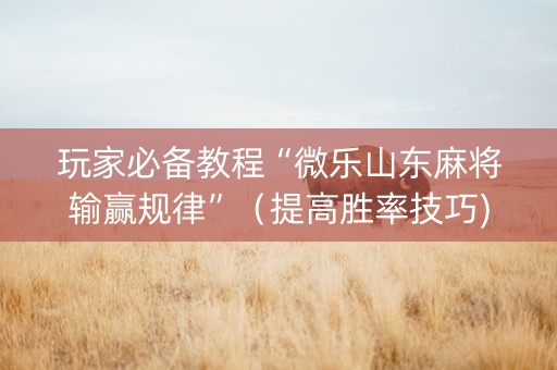 玩家必备教程“微乐山东麻将输赢规律”（提高胜率技巧)