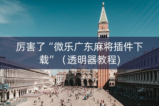 厉害了“微乐广东麻将插件下载”（透明器教程)