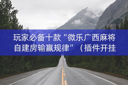 玩家必备十款“微乐广西麻将自建房输赢规律”（插件开挂免费AI)