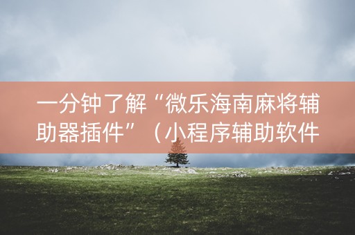 一分钟了解“微乐海南麻将辅助器插件”（小程序辅助软件)