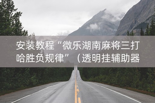 安装教程“微乐湖南麻将三打哈胜负规律”（透明挂辅助器)