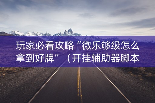 玩家必看攻略“微乐够级怎么拿到好牌”（开挂辅助器脚本)