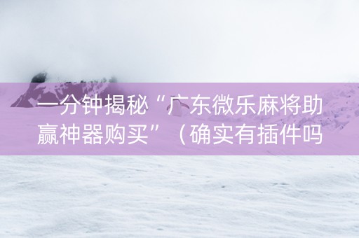 一分钟揭秘“广东微乐麻将助赢神器购买”（确实有插件吗)