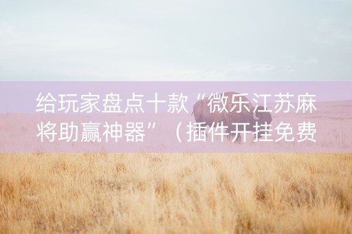 给玩家盘点十款“微乐江苏麻将助赢神器”（插件开挂免费AI)