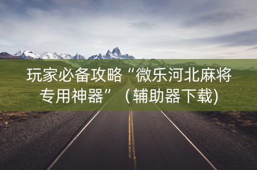 玩家必备攻略“微乐河北麻将专用神器”（辅助器下载)