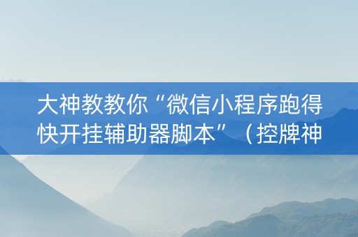大神教教你“微信小程序跑得快开挂辅助器脚本”（控牌神器)