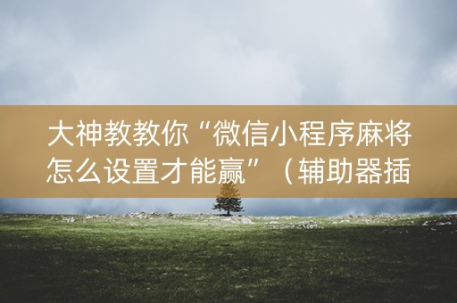 大神教教你“微信小程序麻将怎么设置才能赢”（辅助器插件)