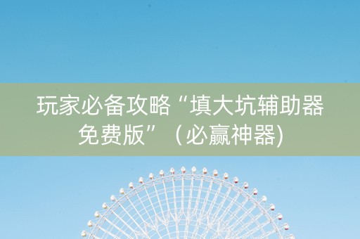 玩家必备攻略“填大坑辅助器免费版”（必赢神器)