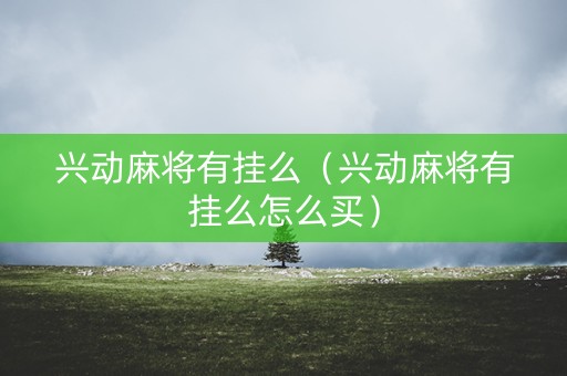 兴动麻将有挂么（兴动麻将有挂么怎么买）