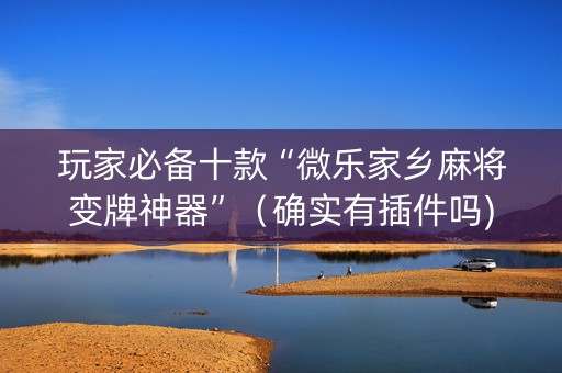 玩家必备十款“微乐家乡麻将变牌神器”（确实有插件吗)