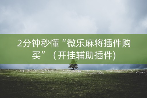 2分钟秒懂“微乐麻将插件购买”（开挂辅助插件)